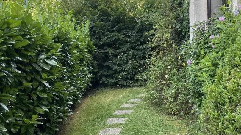 _52