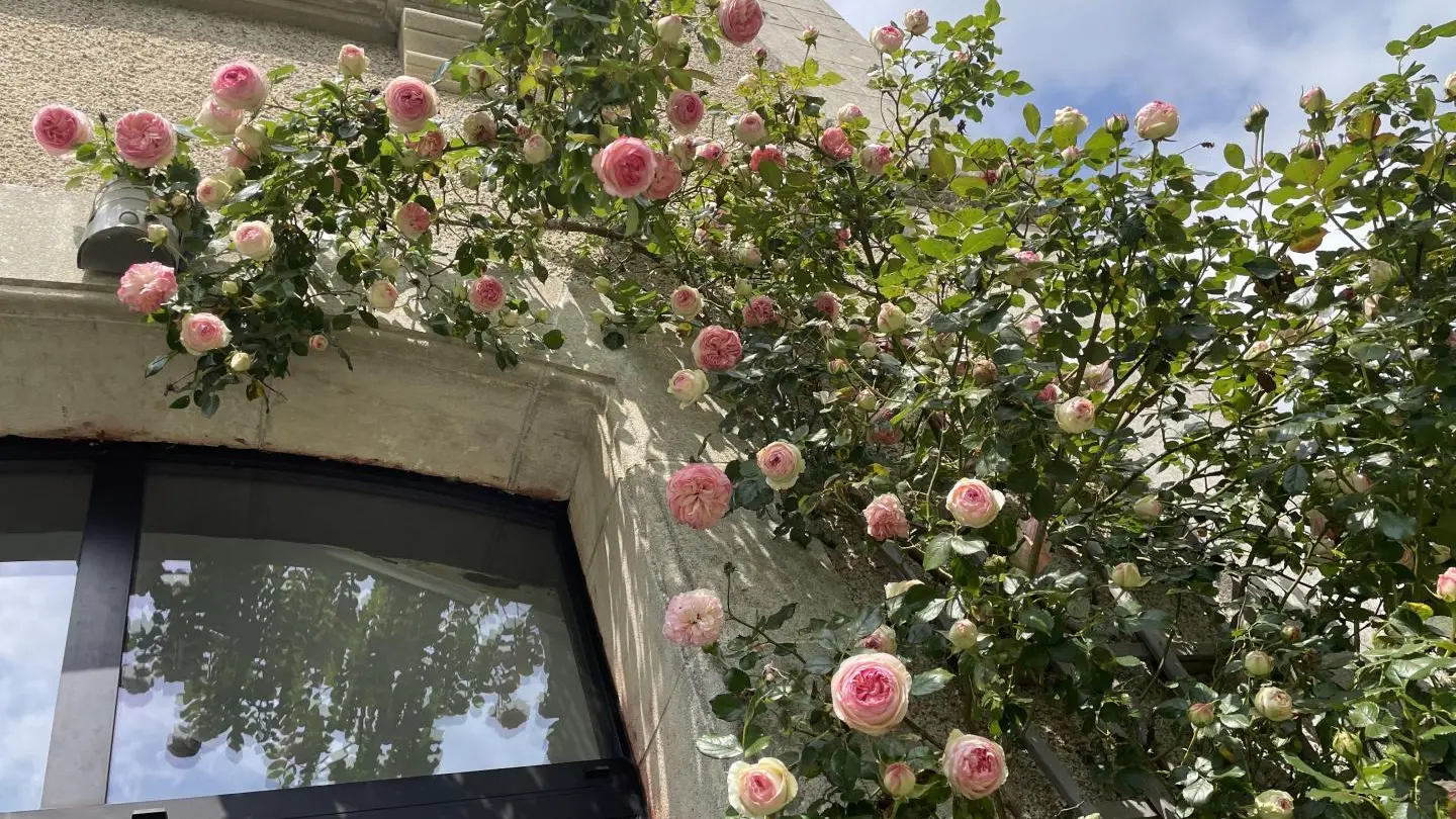 Gite la gare aux oiseaux à Champagnac La Rivière en Haute-Vienne, Nouvelle Aquitaine_44