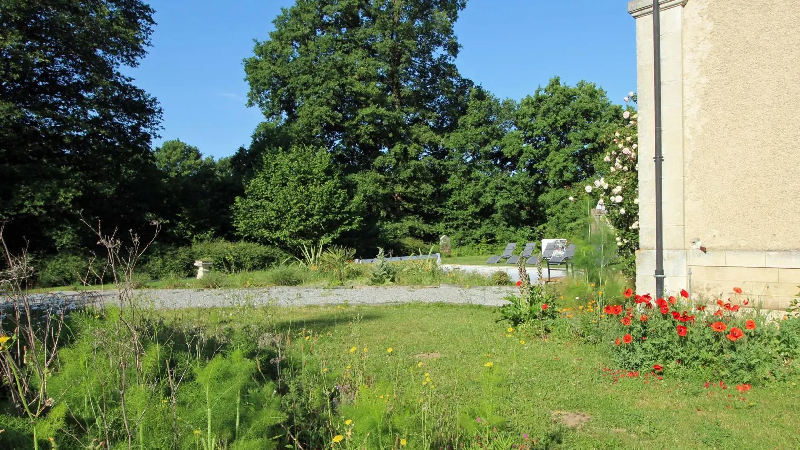 Gite la gare aux oiseaux à Champagnac La Rivière en Haute-Vienne, Nouvelle Aquitaine_51
