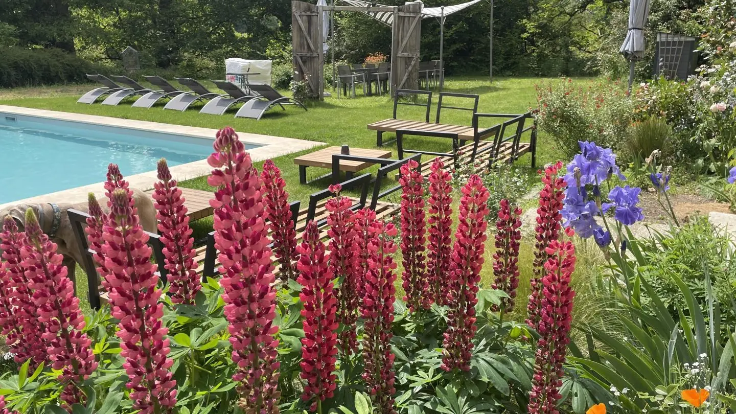 Gite la gare aux oiseaux à Champagnac La Rivière en Haute-Vienne, Nouvelle Aquitaine_45