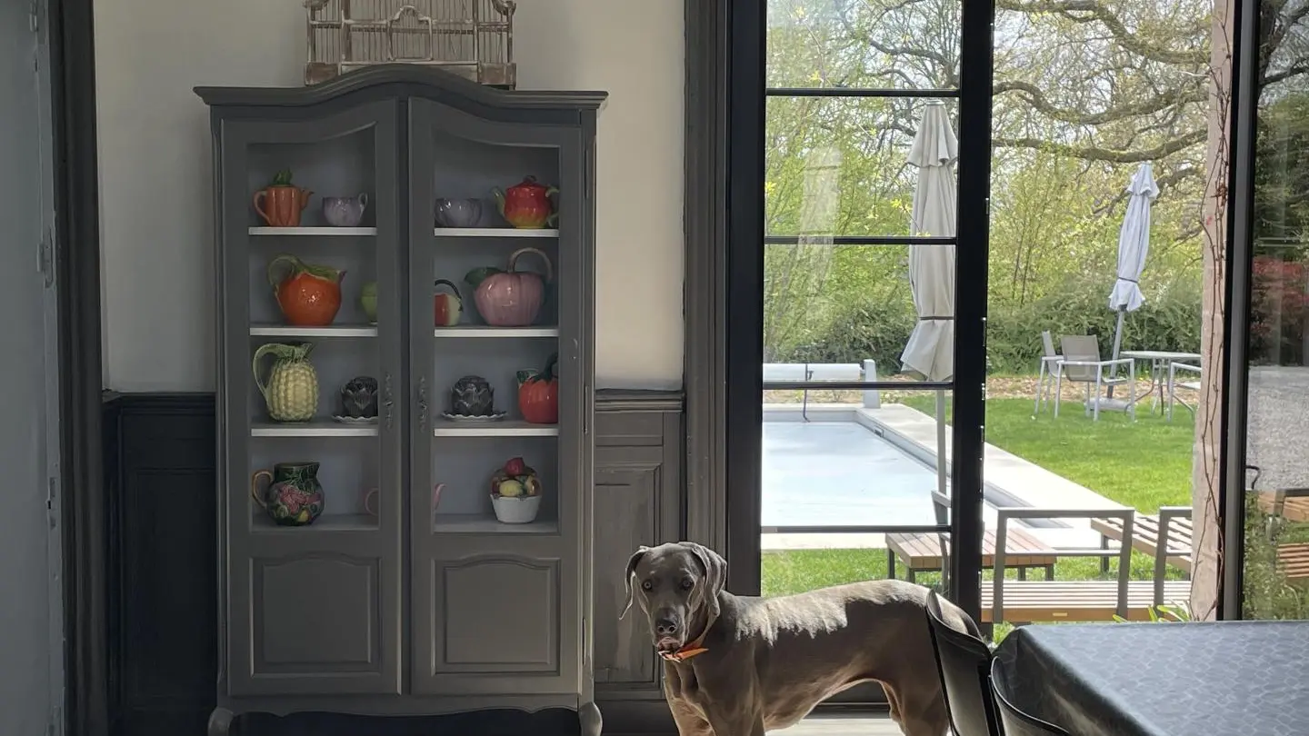 Gite la gare aux oiseaux à Champagnac La Rivière en Haute-Vienne, Nouvelle Aquitaine_7