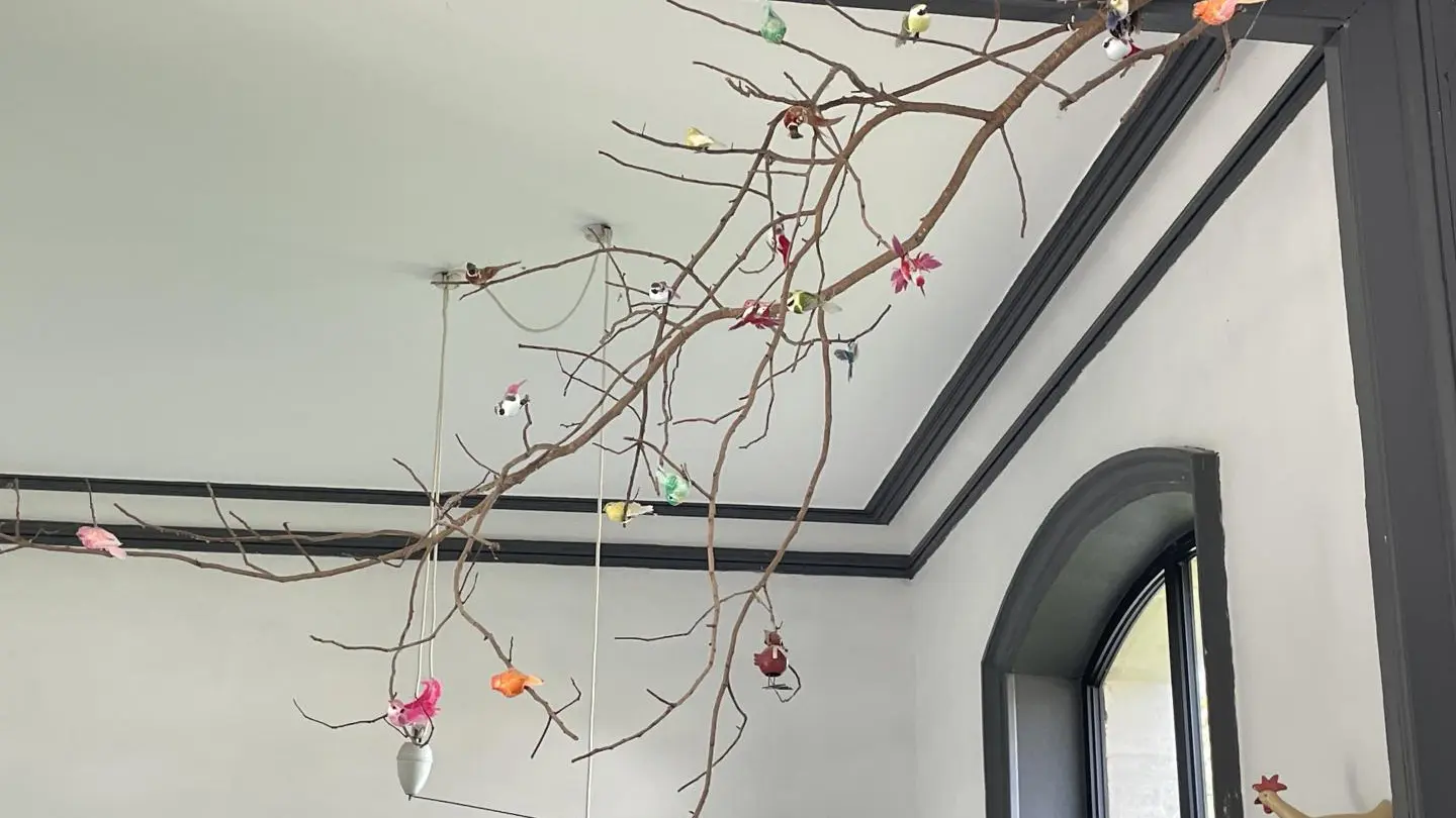 Gite la gare aux oiseaux à Champagnac La Rivière en Haute-Vienne, Nouvelle Aquitaine_15