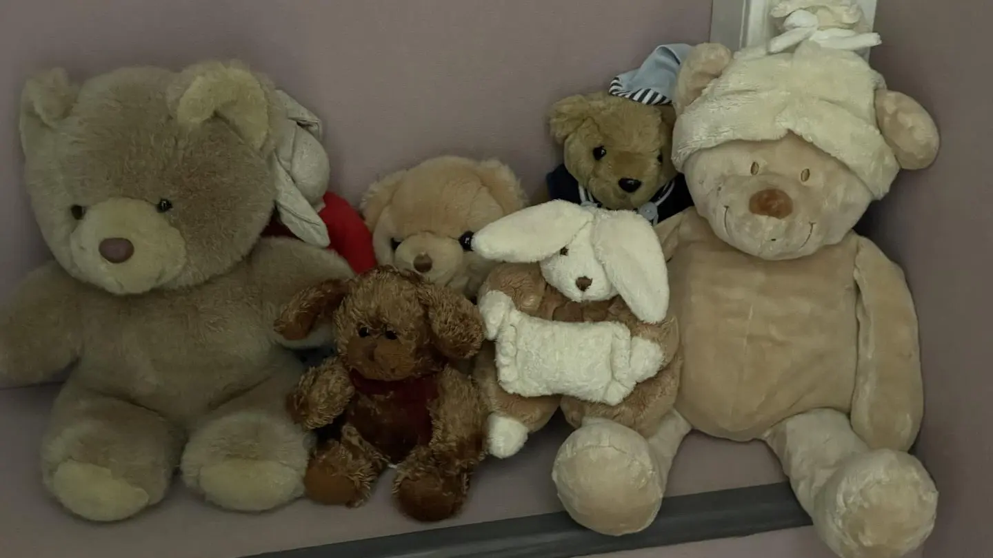 Gite la gare aux oiseaux à Champagnac La Rivière en Haute-Vienne, Nouvelle Aquitaine_34