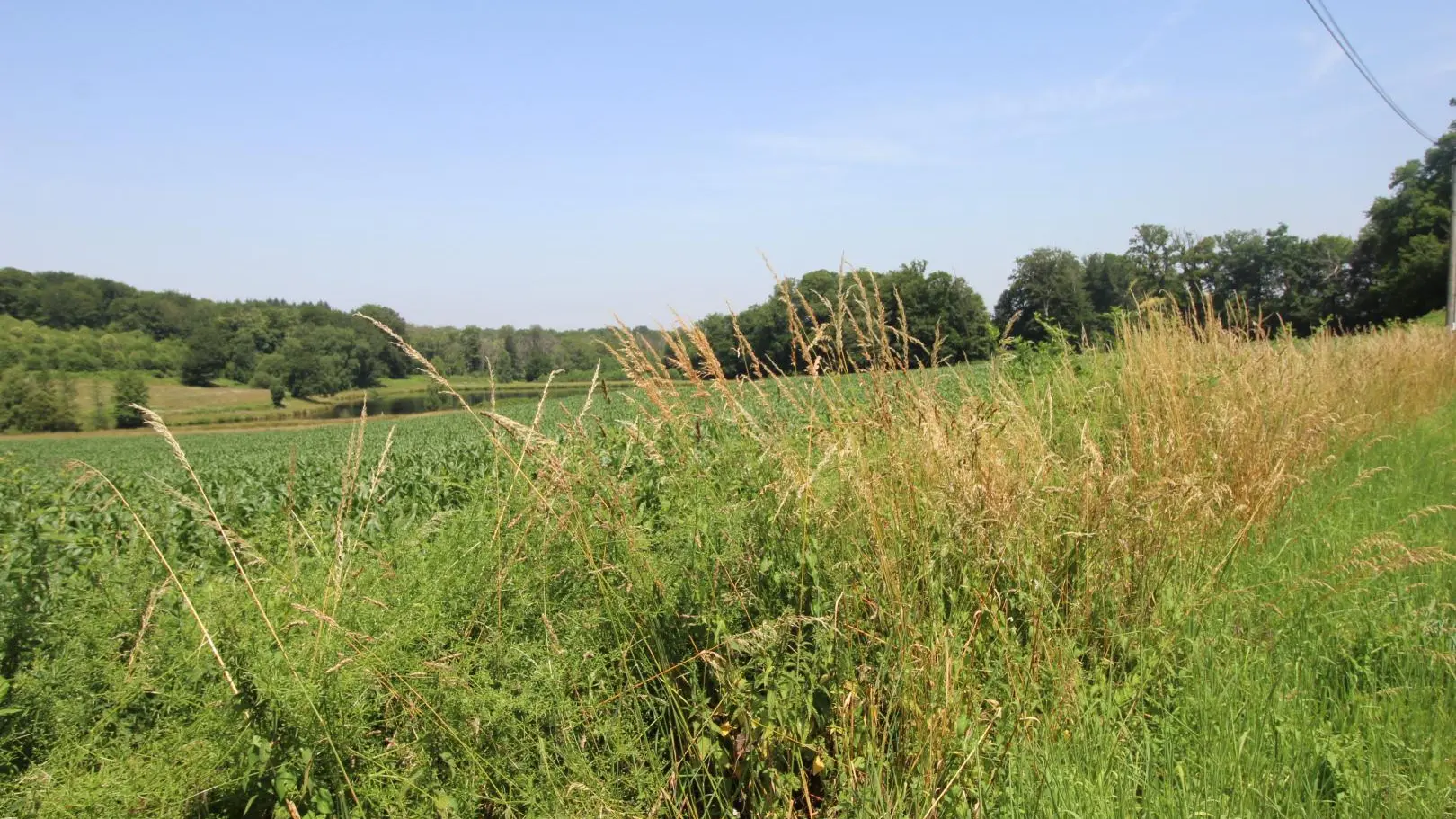 Gite Le Pressoir à Champagnac La Riviere en Haute-Vienne_20