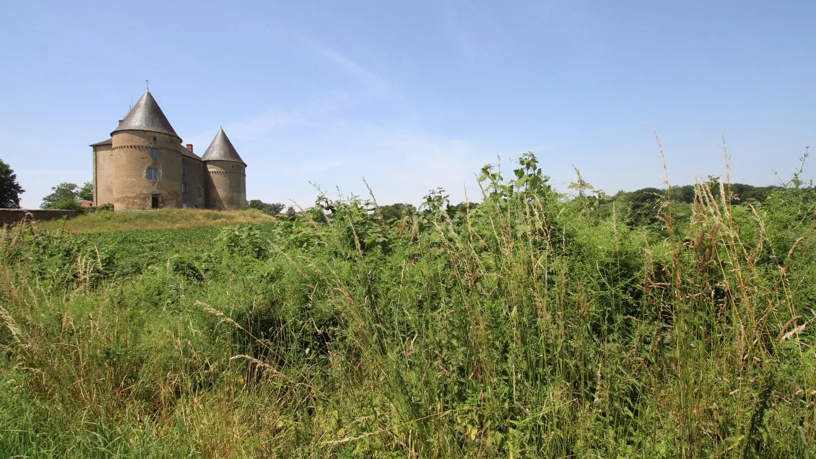 Gite Le Pressoir à Champagnac La Riviere en Haute-Vienne, chateau de Brie_23