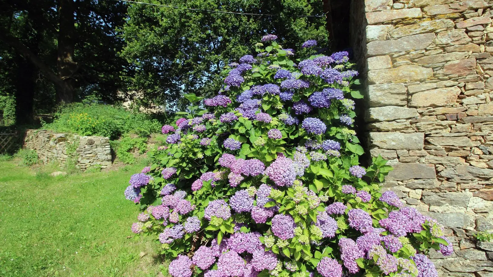 Gite La Valade à Champagnac La Riviere en Haute-Vienne _29