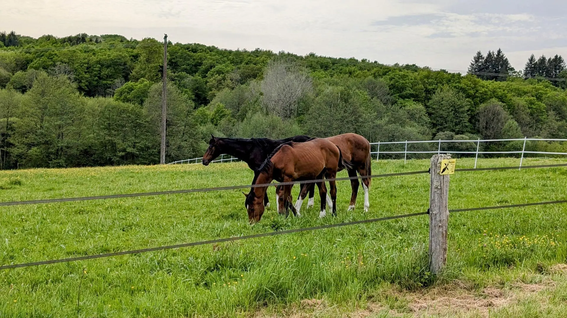 Le Ranch des Ours, gite à Moulin de Cros, commune de Champsac en Haute-Vienne_4