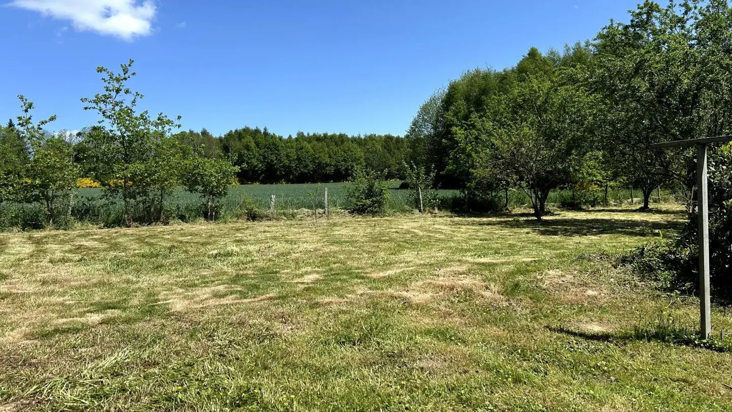 Le parc arrière _48