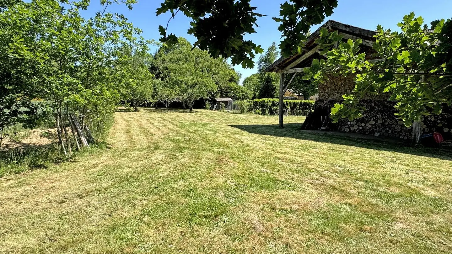 Le parc arrière _45