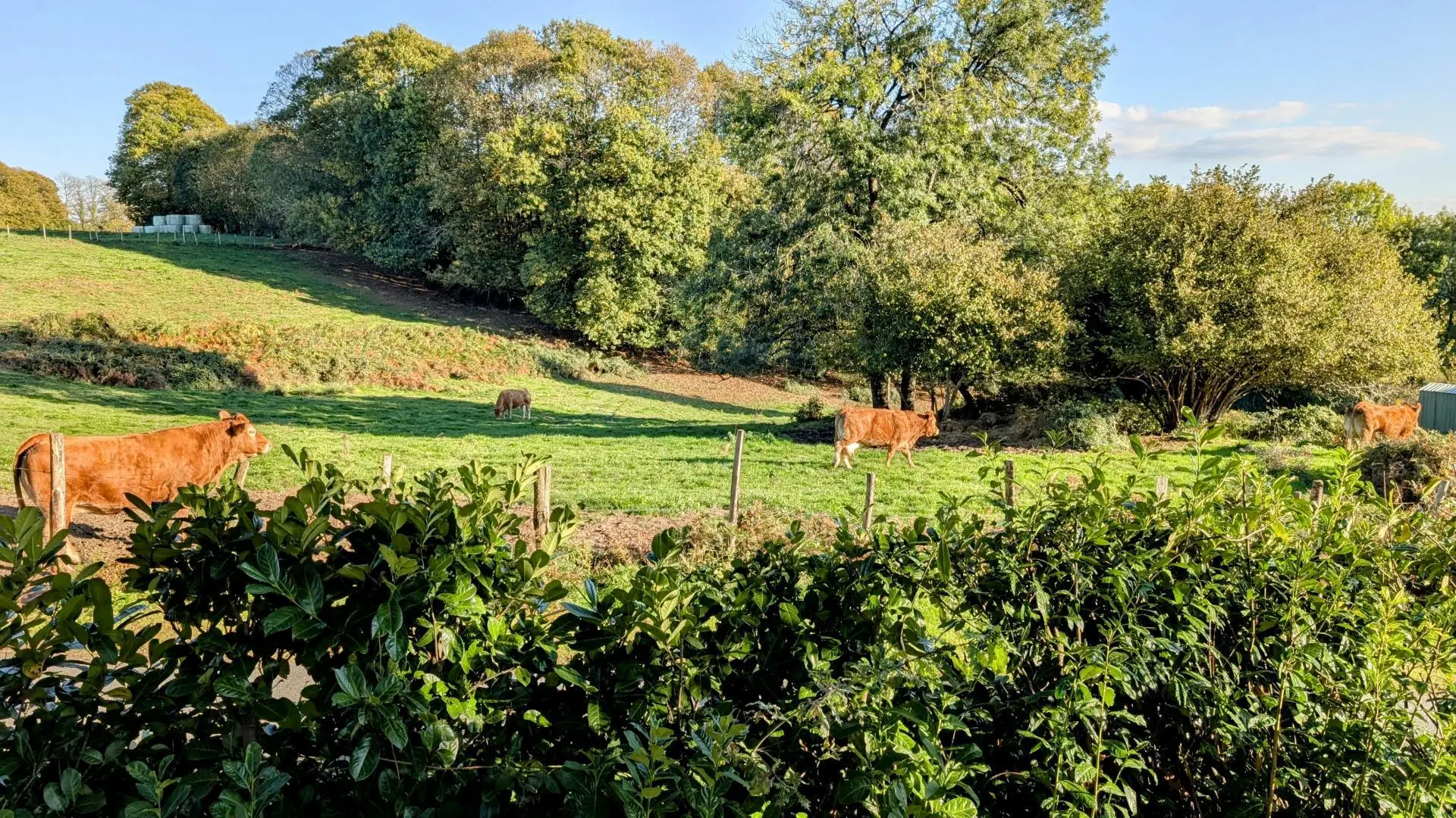 Gite de Belle Vue sur la commune de Dournazac en Haute-Vienne - Nouvelle Aquitaine_2