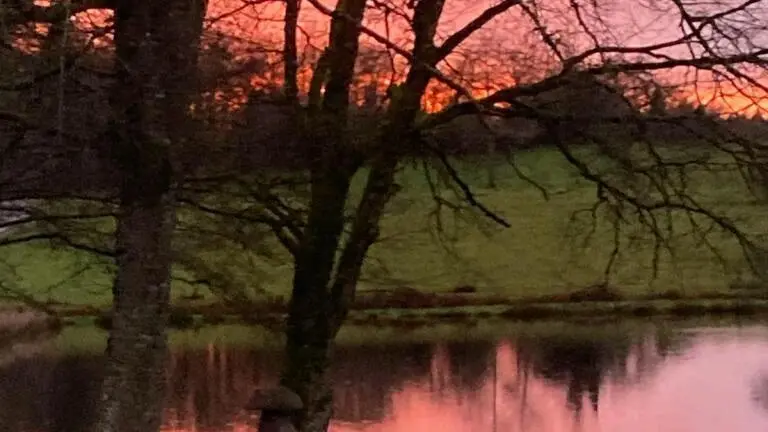 Gite de la Petite Lisonne - commune de Marval en Haute-vienne - Limousin _37