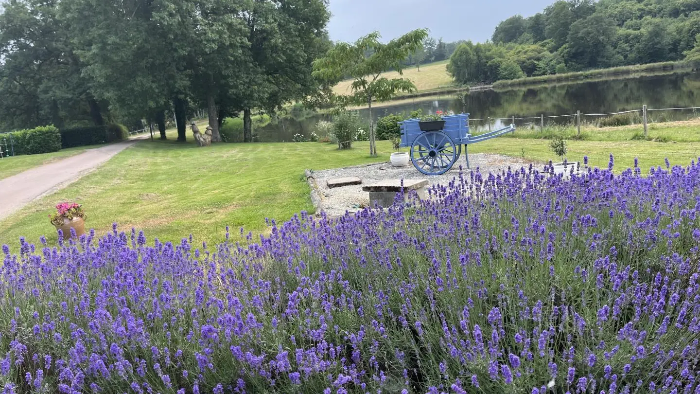 Gite de la Petite Lisonne - commune de Marval en Haute-vienne - Limousin _33