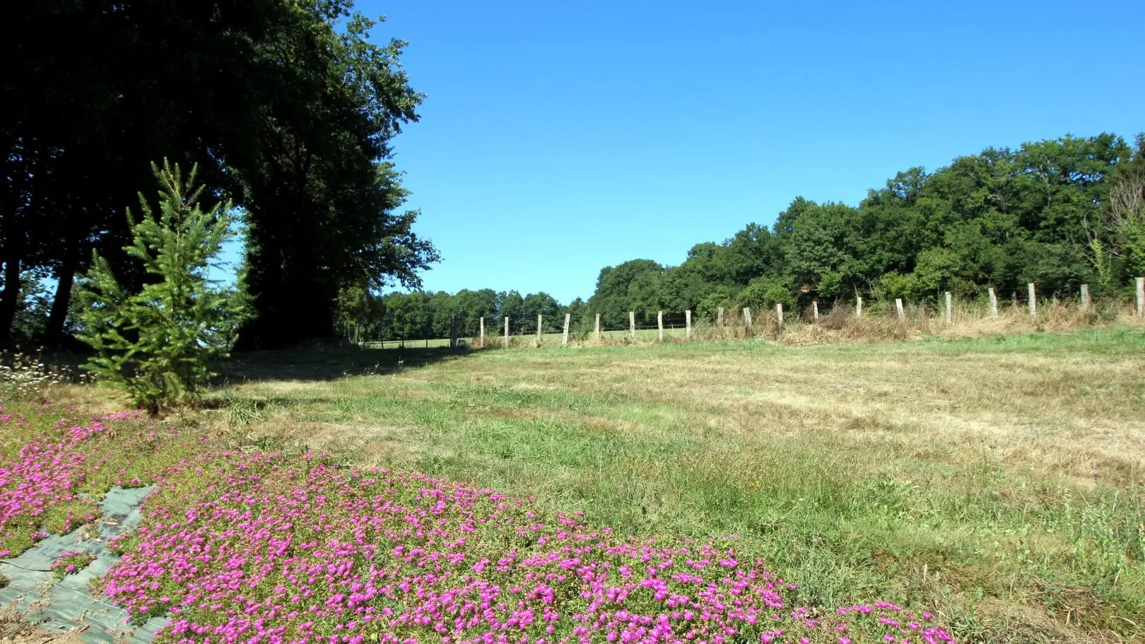 Gite  Lepinasse à Saint Bazile en Haute-Vienne (Nouvelle Aquitaine)_2
