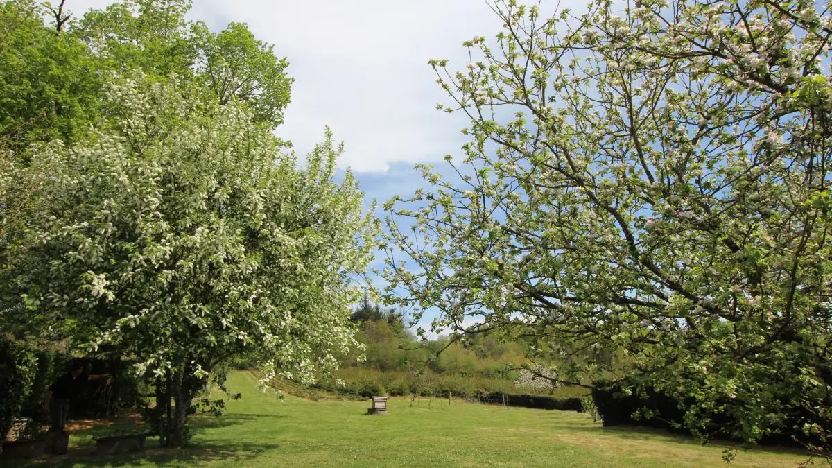 Gite  Lascaux à Saint Mathieu en Haute-Vienne (Limousin)- vue du jardin_25