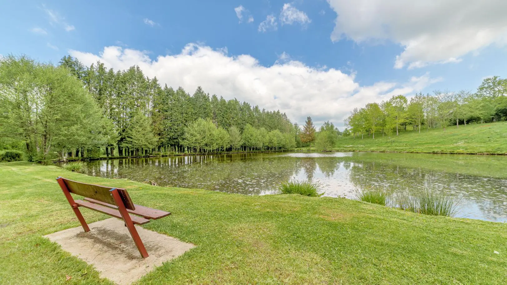 Gite Les Ribières à Les Cars en Haute-Vienne (Nouvelle Aquitaine) - Petit étang, promenade _8
