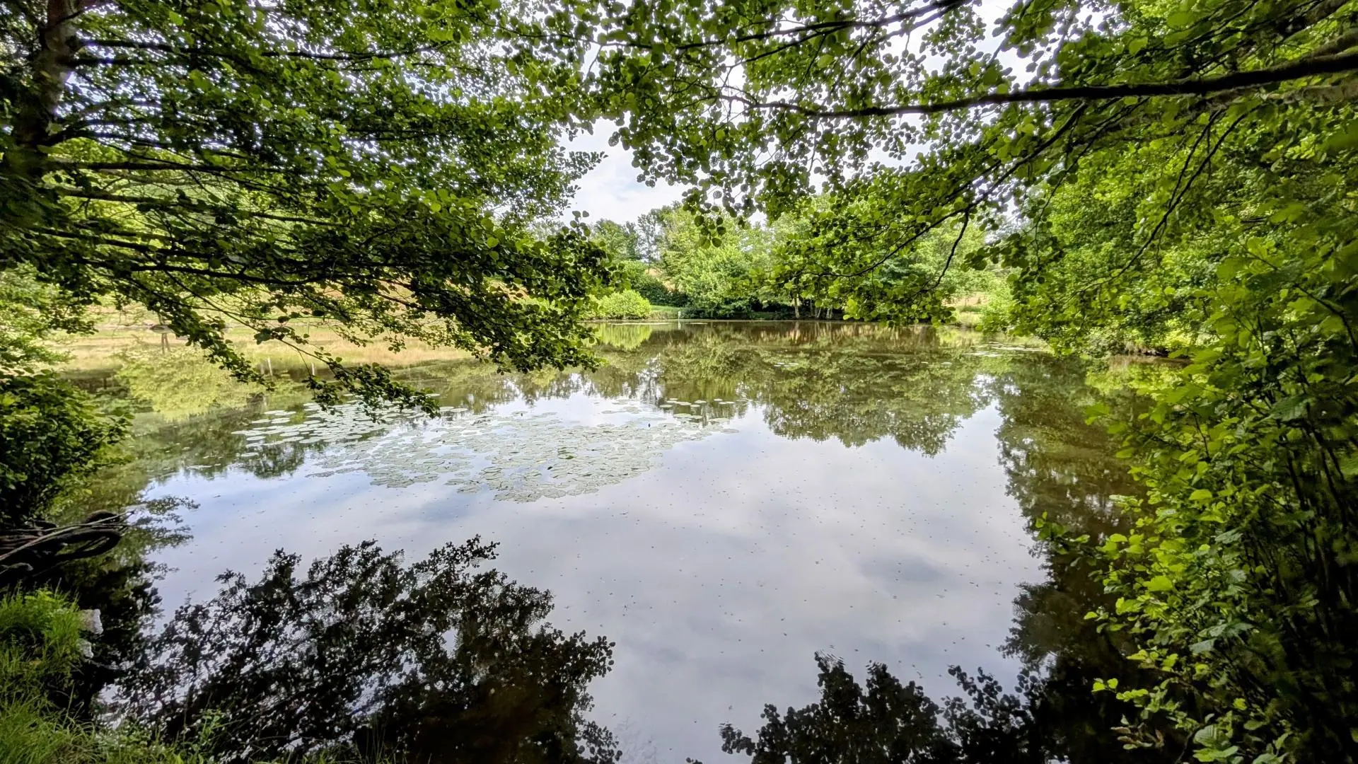 Gite Les Ribières à Les Cars en Haute-Vienne (Nouvelle Aquitaine)_13