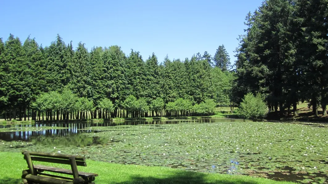 Gite Les Ribières à Les Cars en Haute-Vienne (Nouvelle Aquitaine) - Petit étang, promenade _15