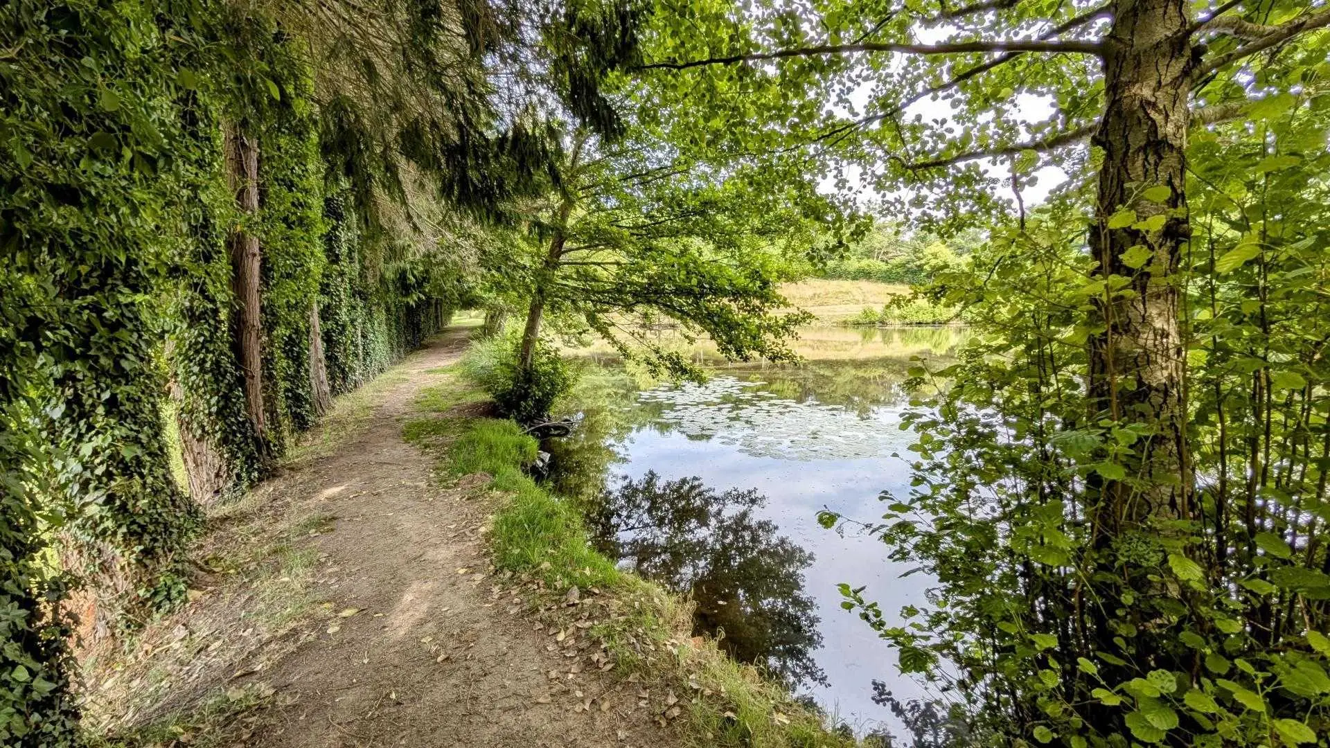 Gite Les Ribières à Les Cars en Haute-Vienne (Nouvelle Aquitaine)_14