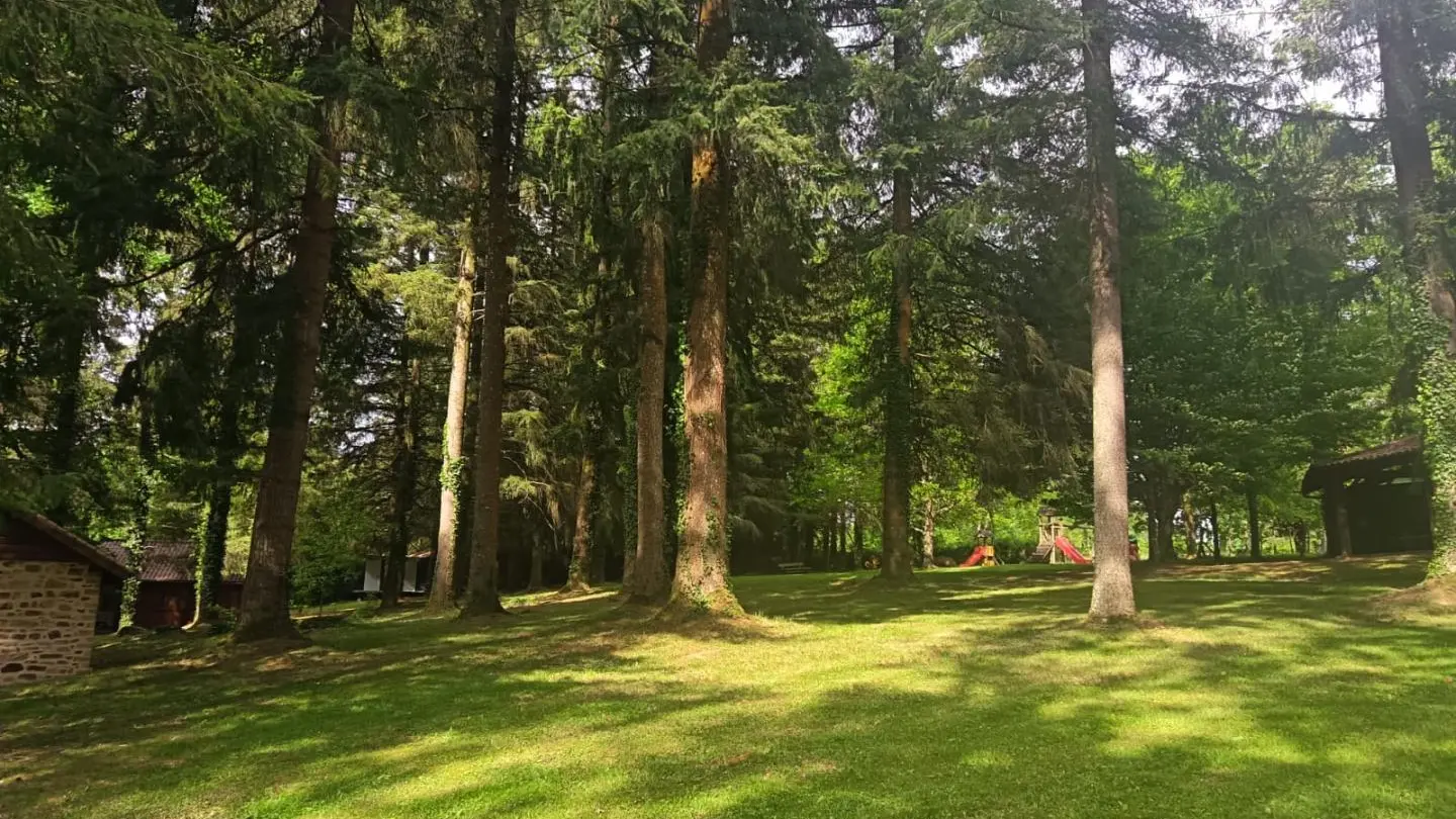 Gite Les Frenes, Hameau de La Maridele à cussac en Haute-Vienne_25