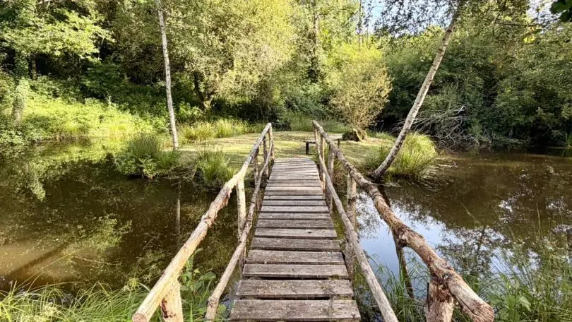 Gite Les Frenes, Hameau de La Maridele à cussac en Haute-Vienne_28