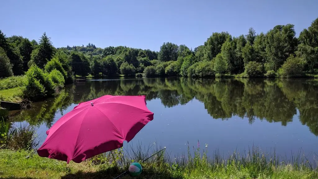 Gite Les Frenes, Hameau de La Maridele à cussac en Haute-Vienne_16