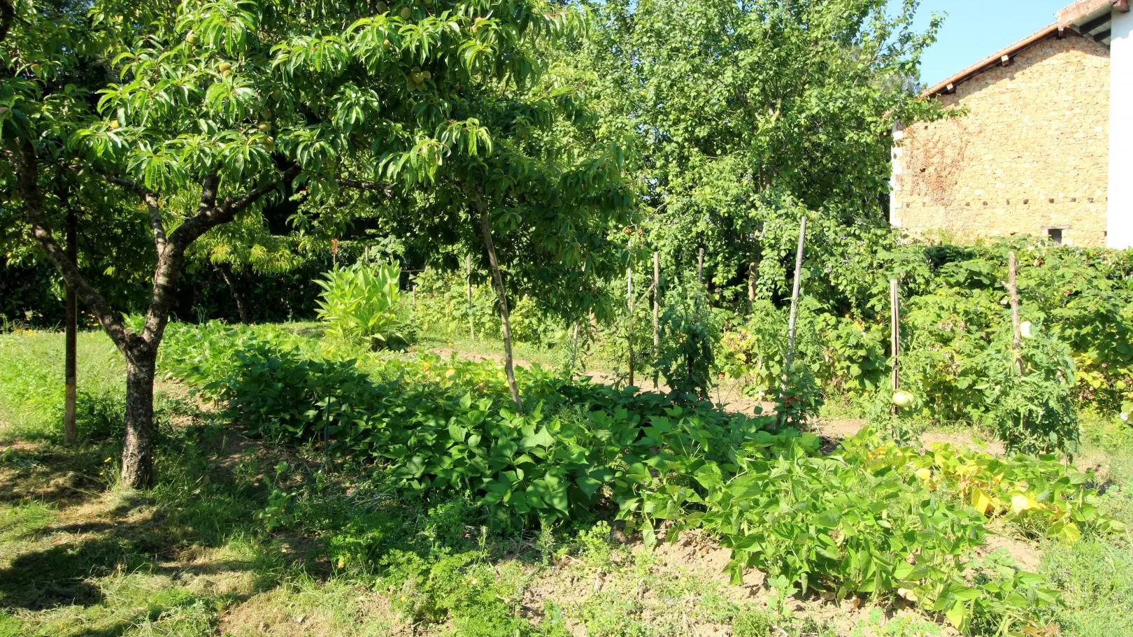 Gite Le Bourg à Chaillac Sur Vienne en Haute-Vienne (Nouvelle Aquitaine)_18