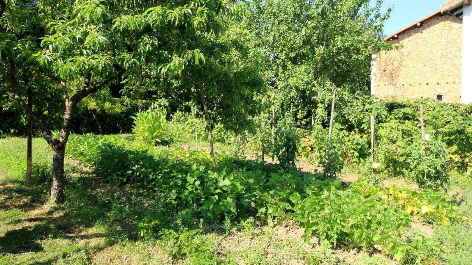 Gite Le Bourg à Chaillac Sur Vienne en Haute-Vienne (Nouvelle Aquitaine)_18