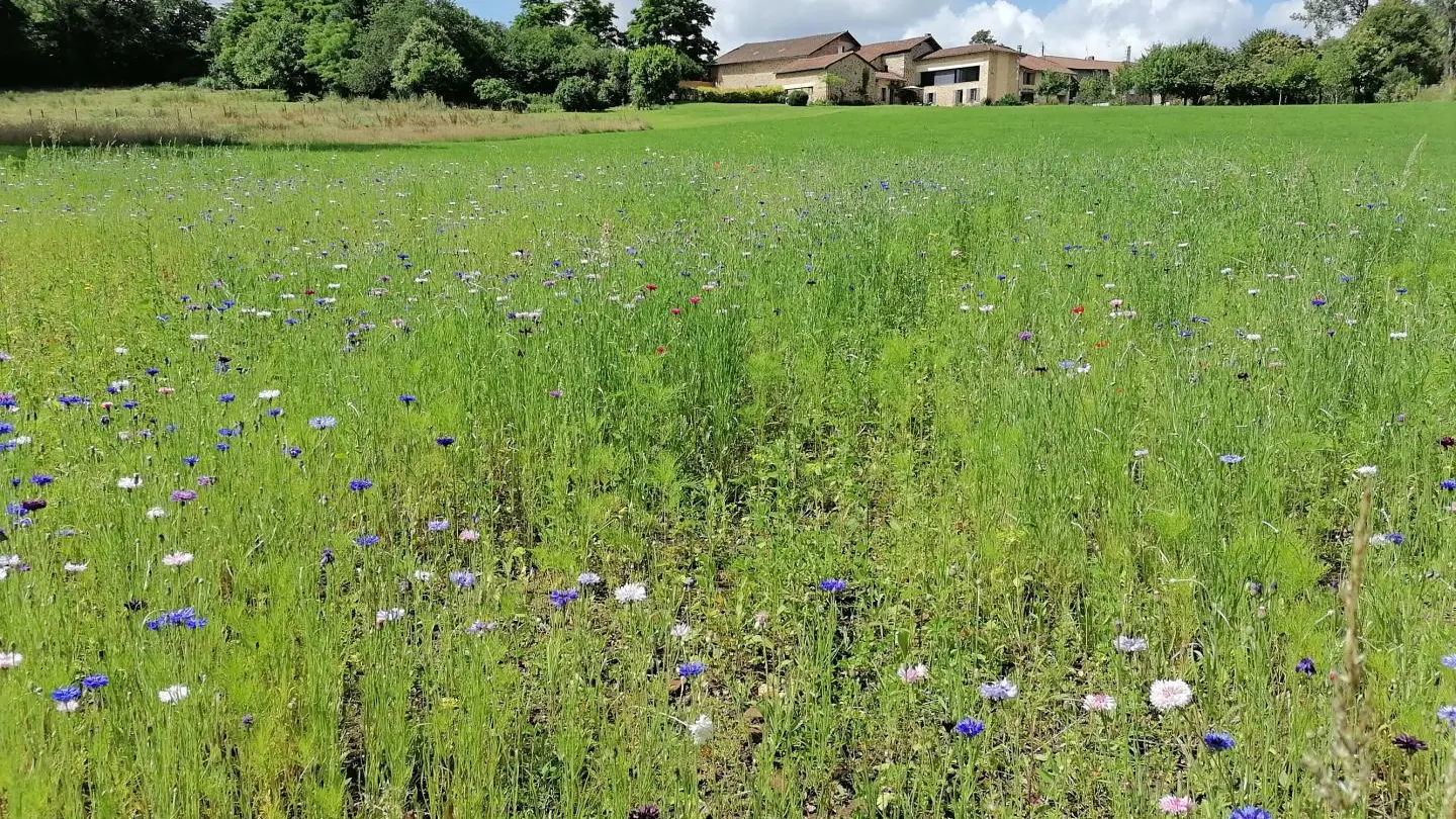 Le gîte Campagne Limousine à Rochechouart en Haute-Vienne (Nouvelle Aquitaine)_62