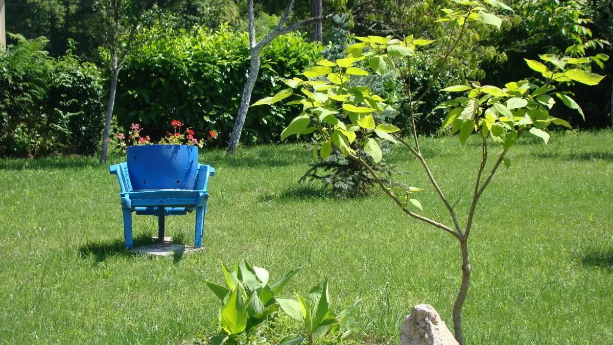 Gite La Chaubaudie à Rochechouart en Haute-Vienne (Nouvelle-Aquitaine)_20