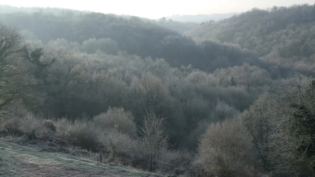 Gîtes de France La Chaudière à St Auvent, Haute Vienne, sous le givre d'hiver_39