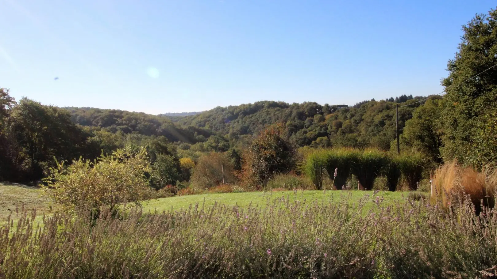 Gîtes de France La Chaudière à St Auvent, Haute Vienne en Limousin, la vue en été_29