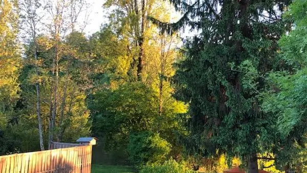 Gite Le Cottage Limousin à Saint Brice Sur Vienne en Haute-Vienne_34