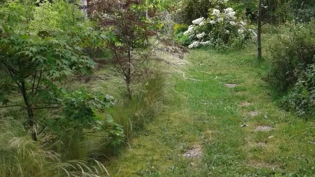 La Maison des couleurs à Saint Brice sur Vienne en Nouvelle Aquitaine (Haute-Vienne)_53