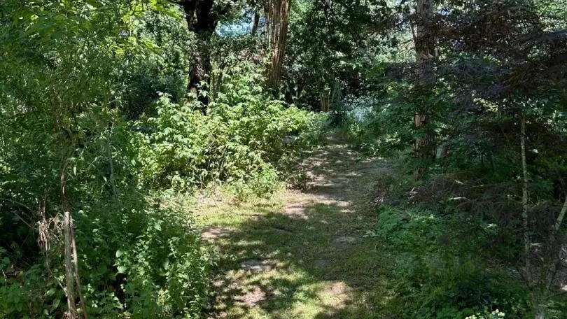 La Maison des couleurs à Saint Brice sur Vienne en Nouvelle Aquitaine (Haute-Vienne)_4