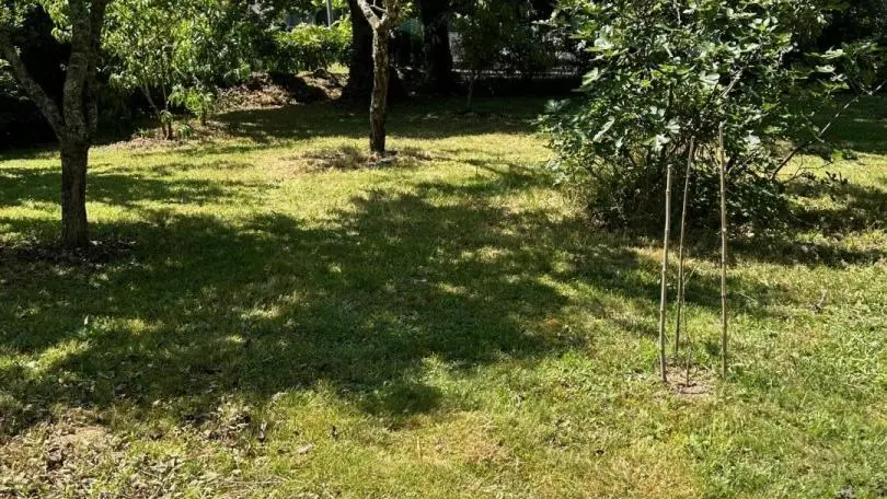 La Maison des couleurs à Saint Brice sur Vienne en Nouvelle Aquitaine (Haute-Vienne)_61