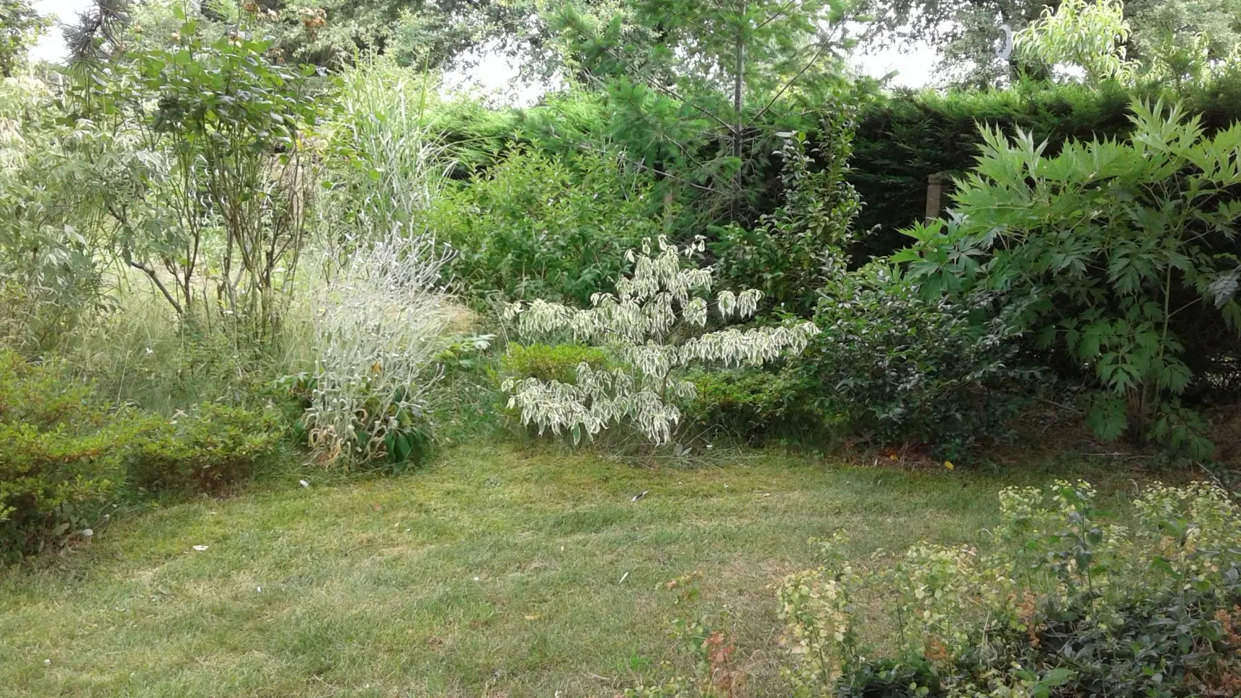 La Maison des couleurs à Saint Brice sur Vienne en Nouvelle Aquitaine (Haute-Vienne)_51