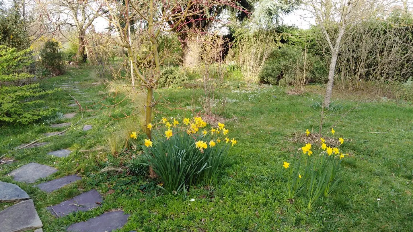 La Maison des couleurs à Saint Brice sur Vienne en Nouvelle Aquitaine (Haute-Vienne)_54