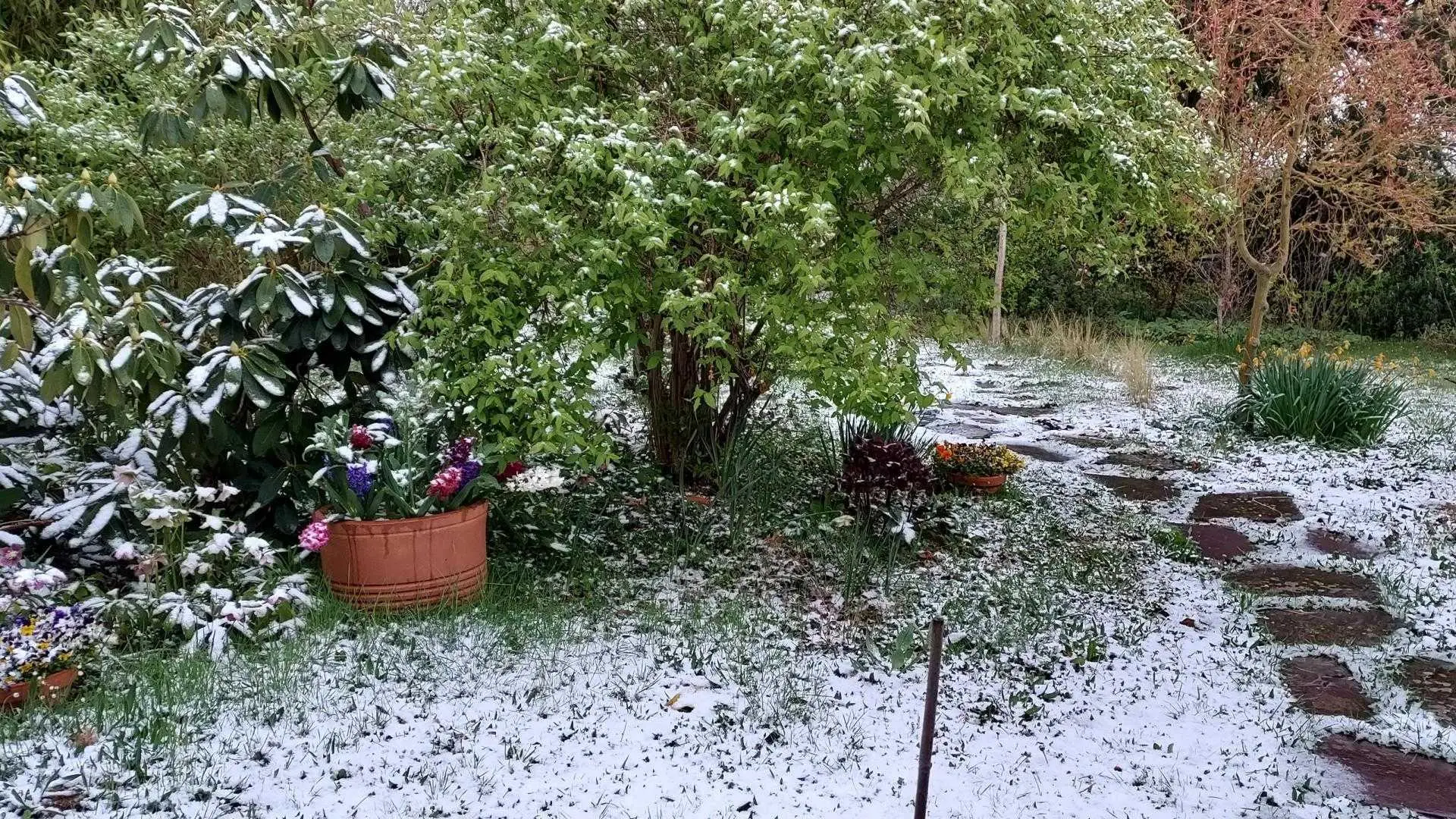 La Maison des couleurs à Saint Brice sur Vienne en Nouvelle Aquitaine (Haute-Vienne)_62