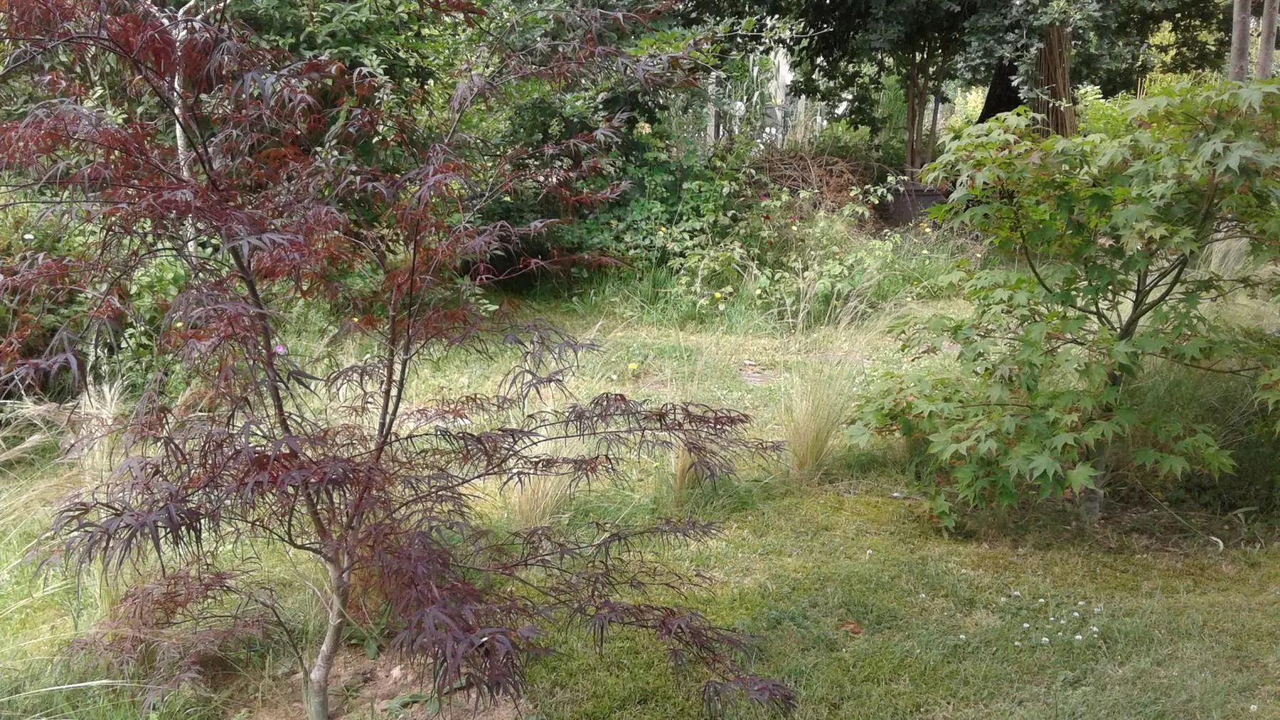 La Maison des couleurs à Saint Brice sur Vienne en Nouvelle Aquitaine (Haute-Vienne)_52