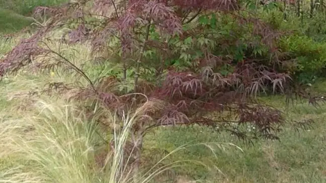 La Maison des couleurs à Saint Brice sur Vienne en Nouvelle Aquitaine (Haute-Vienne)_50