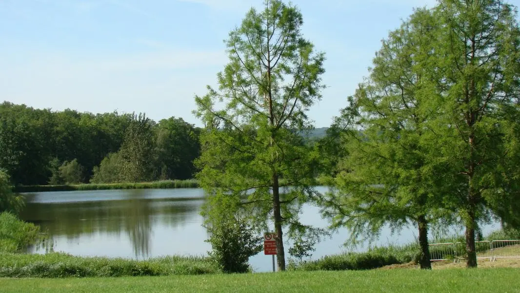 Gite Le Chambéry à Saint Brice Sur Vienne en Haute-Vienne (Limousin)_13