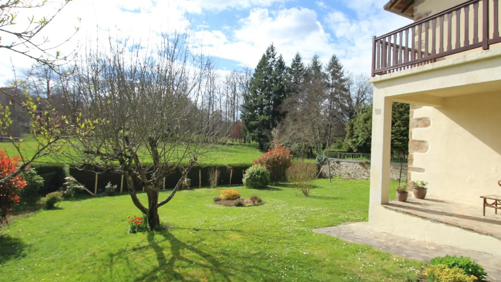 Gite Libellules et papillons à Saint Laurent Sur Gorre en Haute-Vienne (Limousin)_2