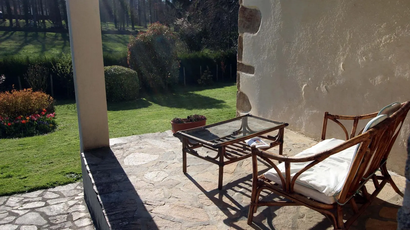 Gite Libellules et papillons à Saint Laurent Sur Gorre en Haute-Vienne (Limousin)_4