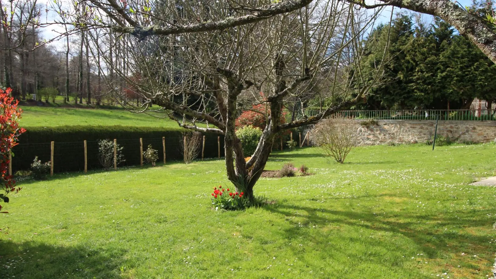Gite Libellules et papillons à Saint Laurent Sur Gorre en Haute-Vienne (Limousin)_20