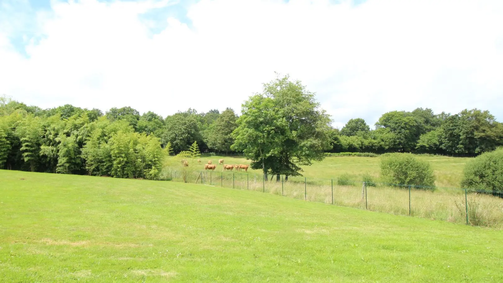 Gîte de Feuillade à Saint Laurent Sur Gorre en Haute-Vienne_57