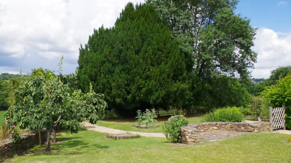 Gite Le Presbytère à Saint Martin De Jussac en Haute-Vienne (Limousin)_19