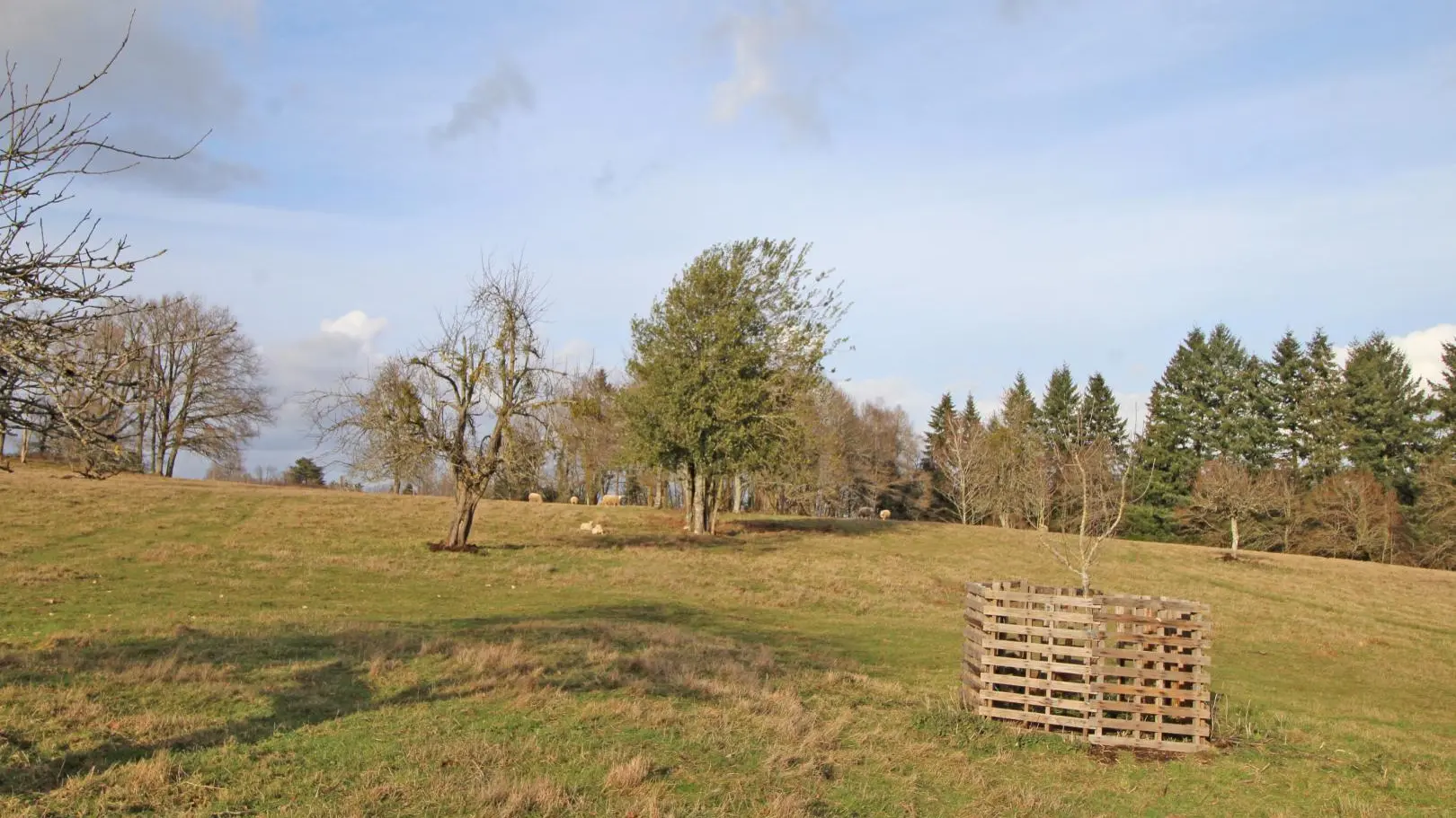 Le gîtLe gîte de La Maison Neuve à Saint Priest sous Aixe en Haute-Vienne (Nouvelle Aquitaine)_39