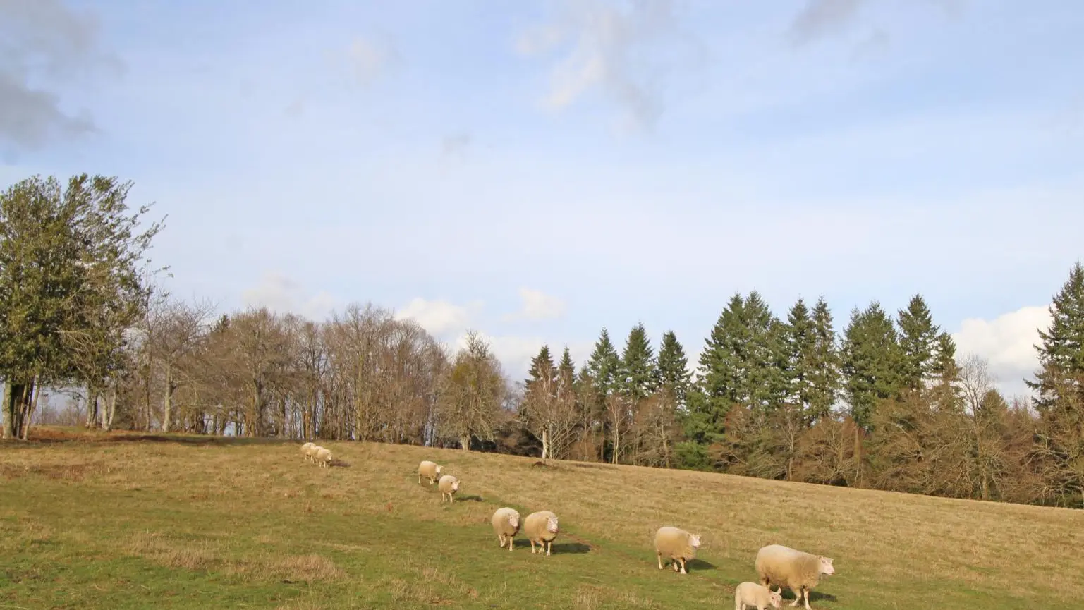 Le gîte de La Maison Neuve à Saint Priest sous Aixe en Haute-Vienne (Nouvelle Aquitaine)_37