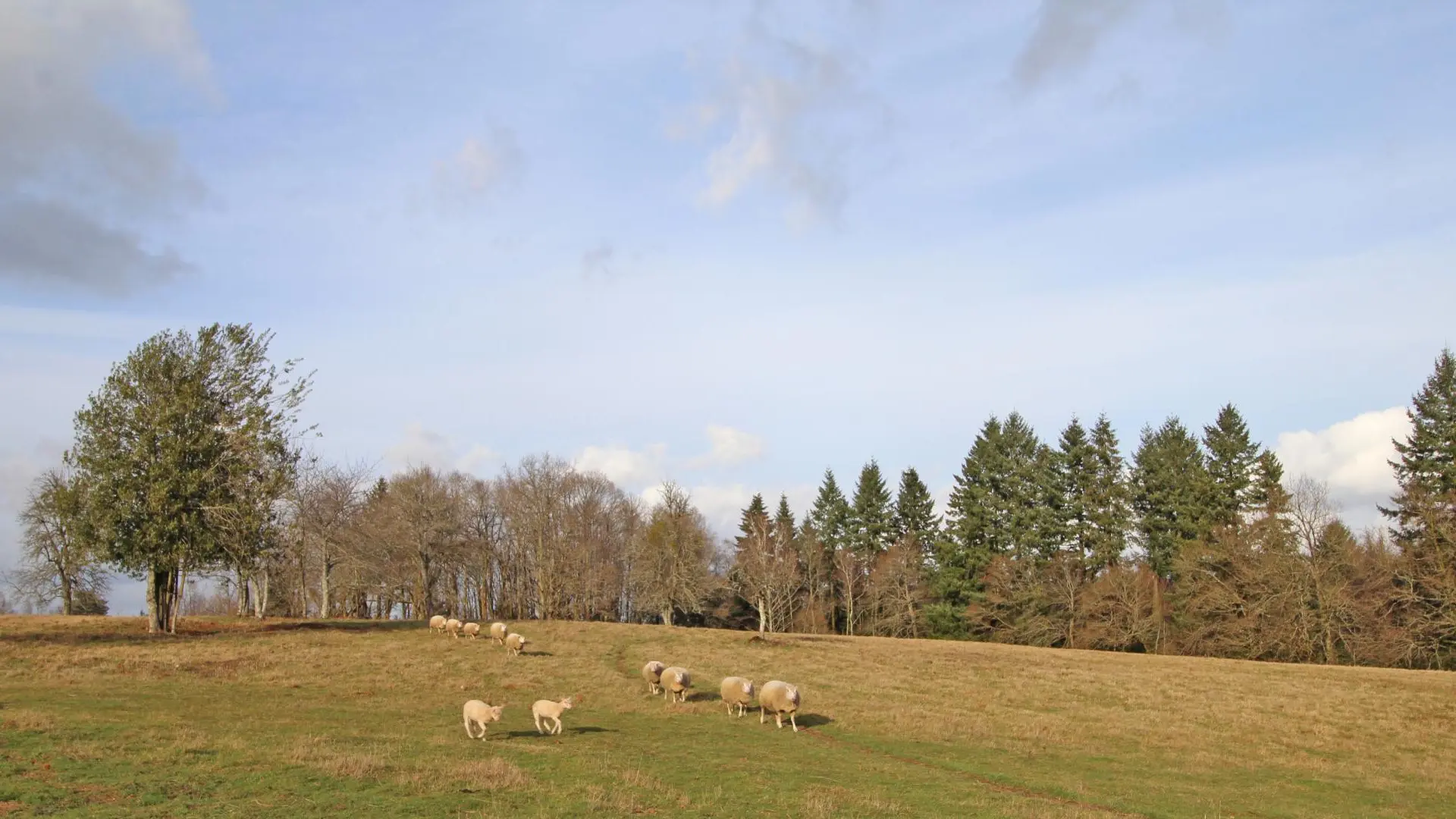Le gîte de La Maison Neuve à Saint Priest sous Aixe en Haute-Vienne (Nouvelle Aquitaine)_38