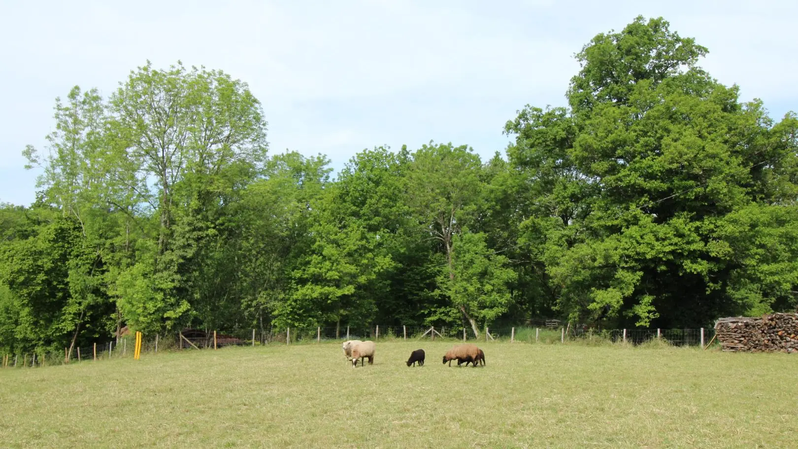 Gîte La Guinandie à Vayres en Haute-Vienne (Limousin en Nouvelle Aquitaine)_18